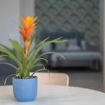 דירה Loft The Ma By Paramount Holidays אדחה